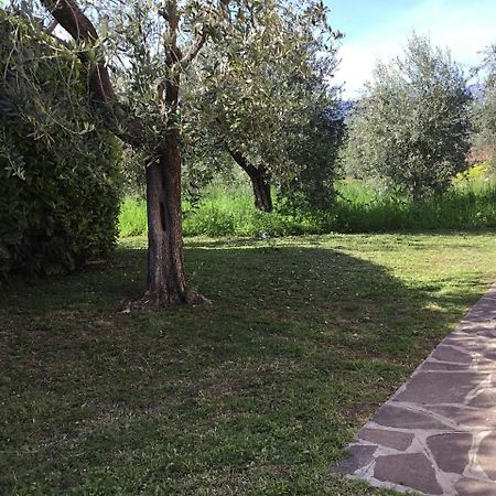Bio Forester Manerba del Garda Eksteriør bilde