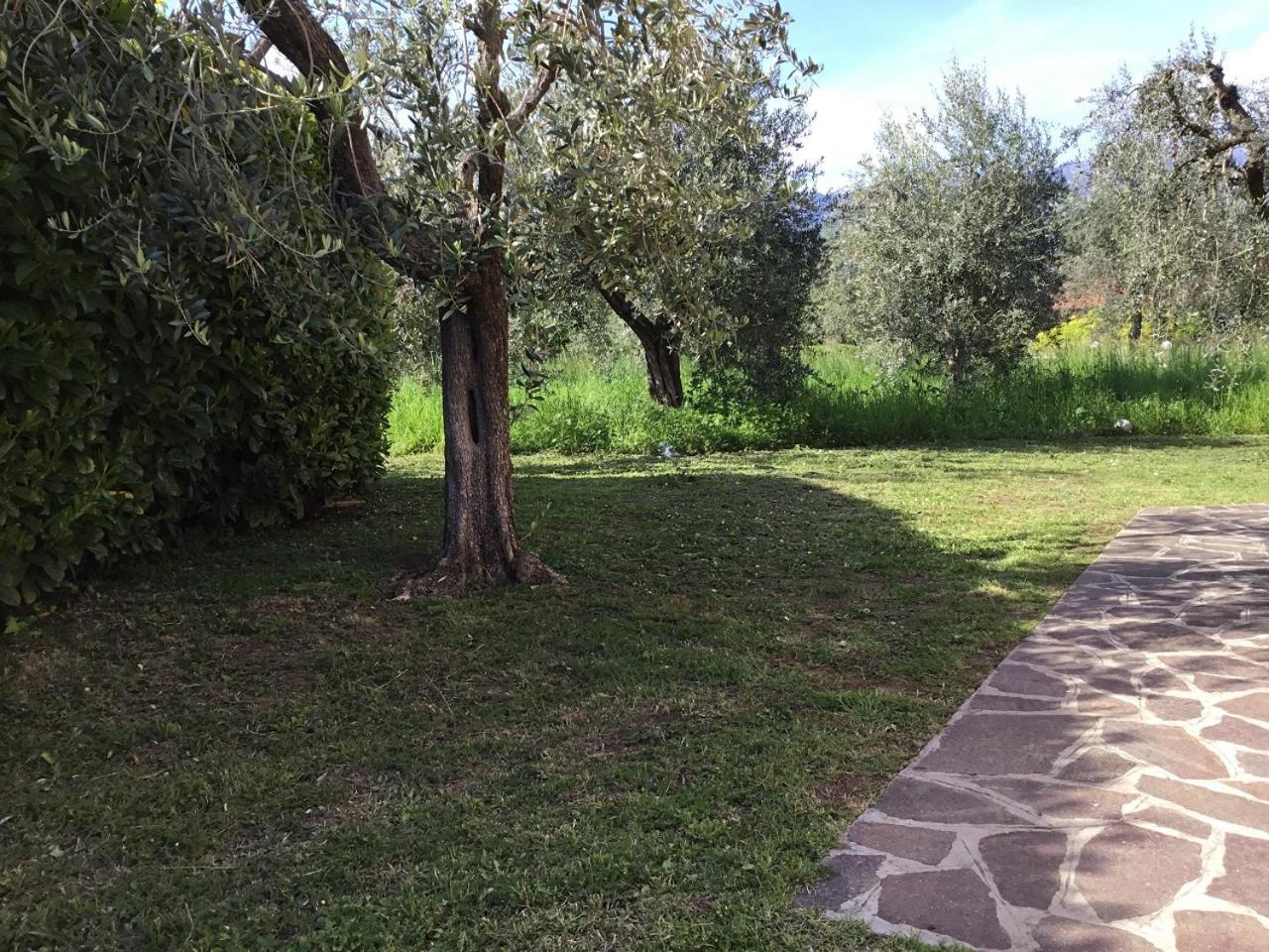 Bio Forester Manerba del Garda Eksteriør bilde