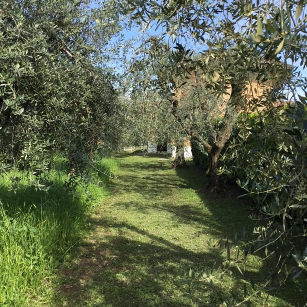 Bio Forester Manerba del Garda Eksteriør bilde